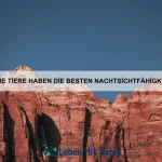 Welche Tiere haben die außergewöhnlichsten Schutzmechanismen?