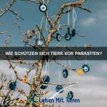 Warum haben einige Tiere flexible Schnäbel?