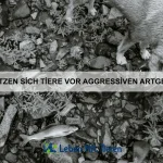 Wie nutzen Tiere Geräusche zur Kommunikation?