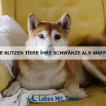 Wie schützen sich Tiere vor Räubern?