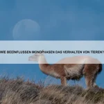 Wie nutzen Tiere ihre Schwänze als Waffe?