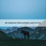 Welche Tiere haben die beste Sprungkraft?
