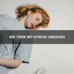 Das Liebesleben der Wölfe