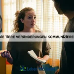 Wie Tiere mit Stress umgehen