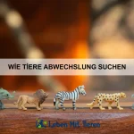 Wie Tiere Wissen weitergeben