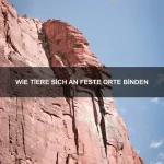 Wie Tiere sich gegenseitig inspirieren
