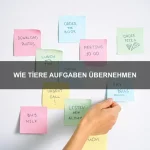 Wie Tiere sich in Gruppen verhalten