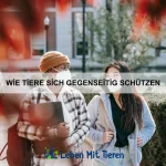Wie Tiere Gruppenregeln erkennen