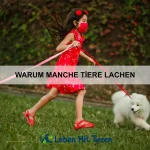 Wie Tiere sich gegenseitig schützen