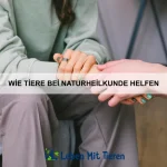 Kommunikation unter Delfinen
