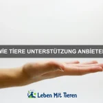 Kommunikation unter Delfinen