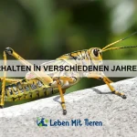 Die Rolle von Emotionen im Tierreich