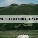 Die Rolle von Emotionen im Tierreich