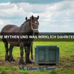 Wie Tiere auf Stressfaktoren reagieren