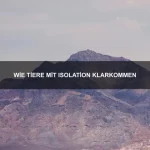 Wie Tiere auf Stressfaktoren reagieren
