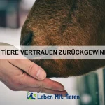 Wie Tiere sich vor Überschwemmungen retten