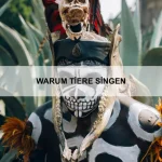 Wie Tiere Entspannung finden