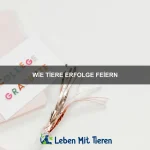 Die besten Haustiere für Kinder