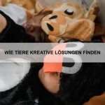 Wie Tiere Konflikte vermeiden