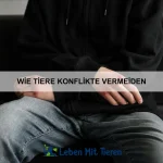 Wie Tiere auf Veränderungen im Zuhause reagieren