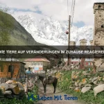 Wie Tiere Rücksicht nehmen