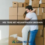 Wie Tiere Gefühle durch Geräusche ausdrücken