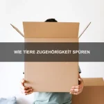 Wie Tiere mit Neuanfängen umgehen