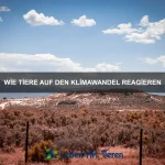 Wie Tiere ihre Nahrung teilen