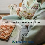 Warum Tiere Gesichter erkennen