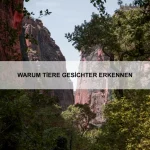 Wie Tiere ihre Rolle definieren