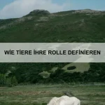 Warum Tiere Gesichter erkennen
