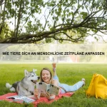 Wie Tiere Kommunikation verbessern