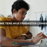 Wie Tiere Anführer wählen