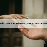 Wie Tiere sich durch Geräusche verständigen