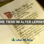 Wie Tiere Rituale schätzen