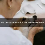 Wie Tiere Fürsorge zeigen