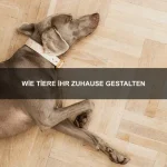 Wie Tiere Nähe suchen