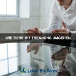Wie Tiere lernen, Regeln zu folgen