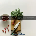 Wie Tiere mit Trennung umgehen