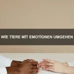 Wie Tiere komplexe Entscheidungen treffen