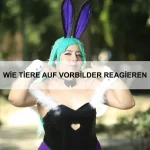 Die Evolution tierischer Sinne
