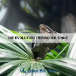 Wie Tiere Respekt lernen