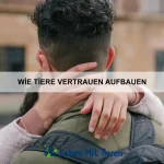 Wie Tiere helfen, Probleme zu lösen
