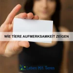 Wie Tiere helfen, Probleme zu lösen