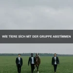 Wie Tiere sich aufeinander verlassen