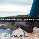 Tierische Intelligenz im Test
