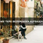 Wie Tiere Perspektiven wechseln