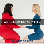 Wie Tiere sich erinnern, wo Futter ist