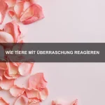 Wie Tiere Erinnerungen bewahren