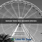 Wie Tiere neue Wege gehen